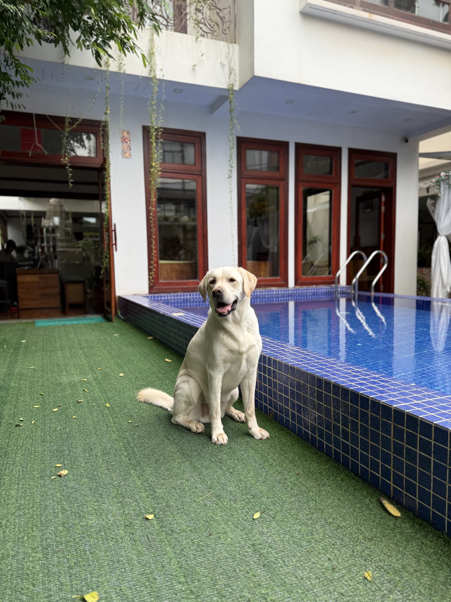 SAIKO PISCINE SAIKO PISCINE